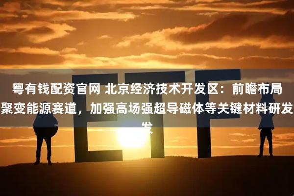 粤有钱配资官网 北京经济技术开发区：前瞻布局聚变能源赛道，加强高场强超导磁体等关键材料研发