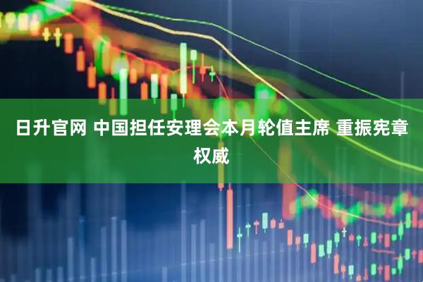 日升官网 中国担任安理会本月轮值主席 重振宪章权威