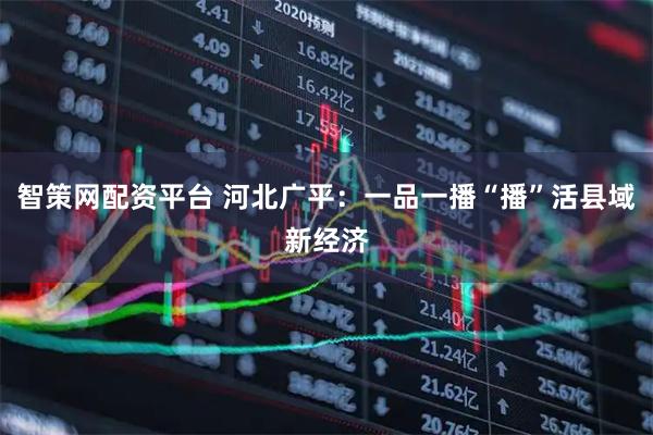 智策网配资平台 河北广平：一品一播“播”活县域新经济